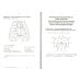 Рабочая тетрадь к практическим занятиям по курсу "Основы функциональной диагностики": Учебно-методическое пособие