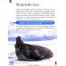Животные: энциклопедия