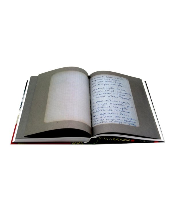 Дневник мыслей 1943-1957. Т. 6. Июнь 1953 - ноябрь 1954