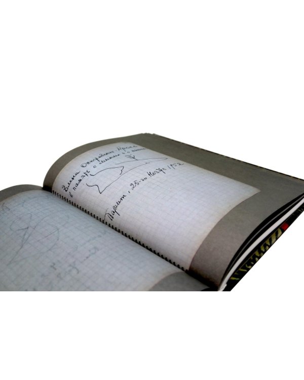 Дневник мыслей 1943-1957. Т. 6. Июнь 1953 - ноябрь 1954