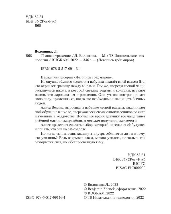 Тёмное отражение