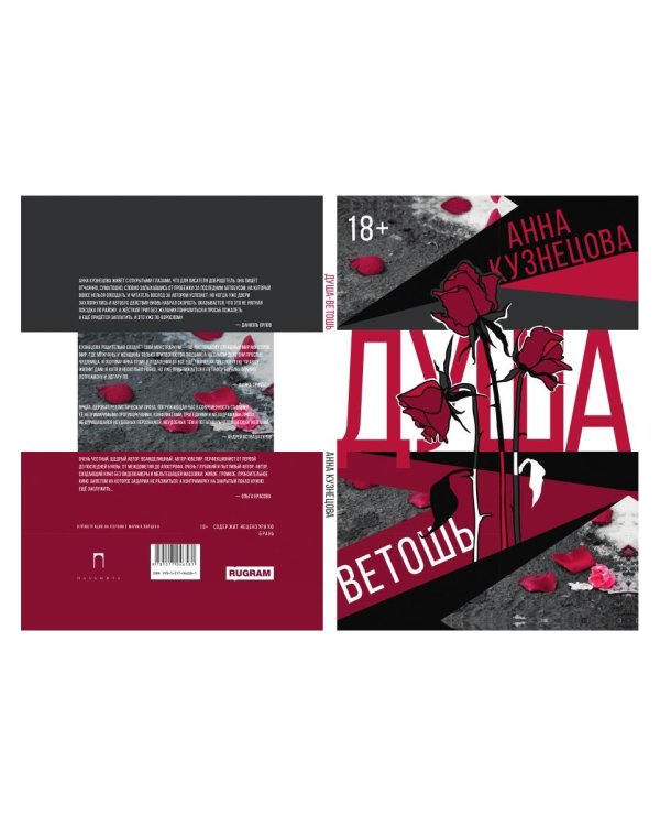 Душа-ветошь: сборник