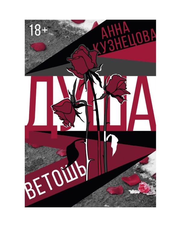 Душа-ветошь: сборник
