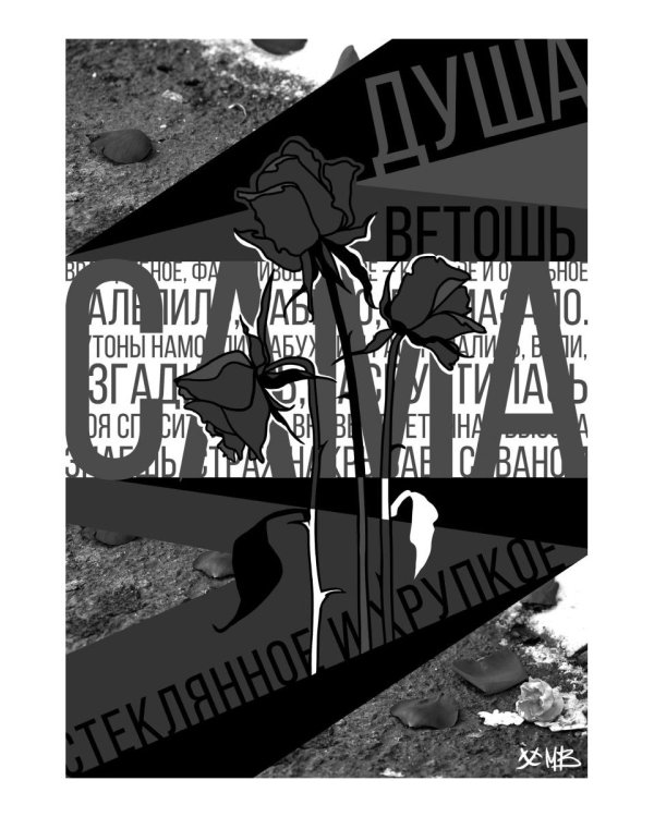 Душа-ветошь: сборник