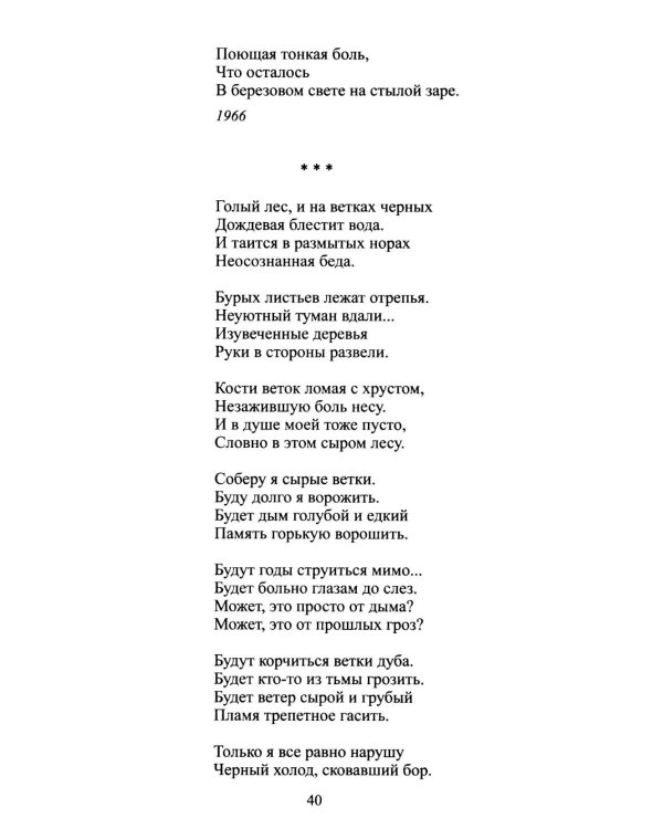 Дополнительное изображение книги «Черные камни»