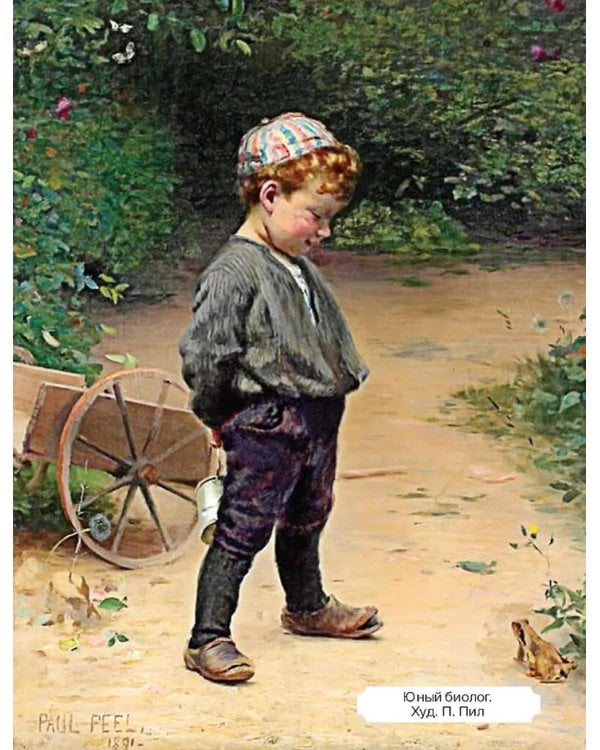 Поэзия Серебряного века. Детский альбом