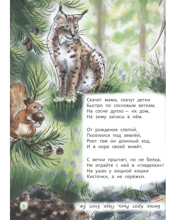 Загадки обо всем на свете. Отгадай и покажи