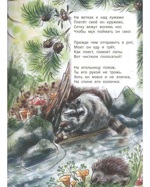 Загадки обо всем на свете. Отгадай и покажи