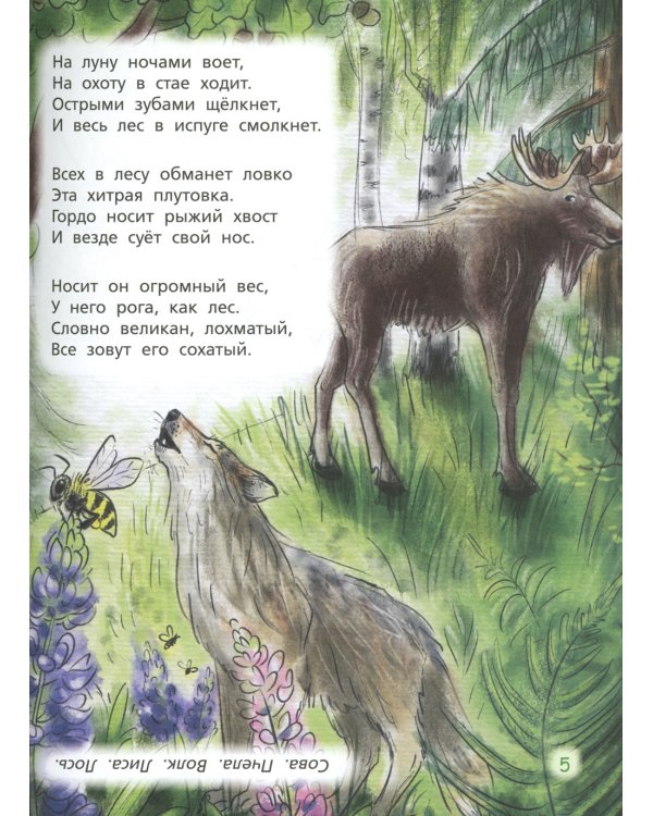 Загадки обо всем на свете. Отгадай и покажи