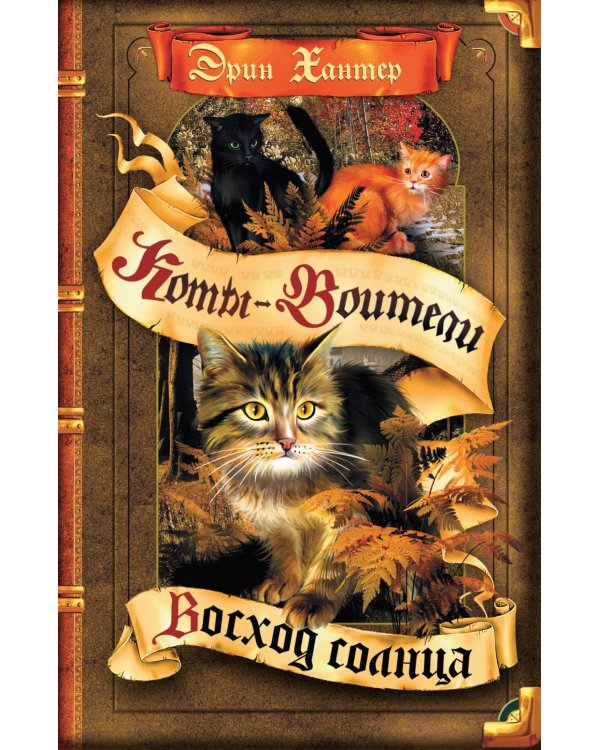 Коты-воители. Восход солнца