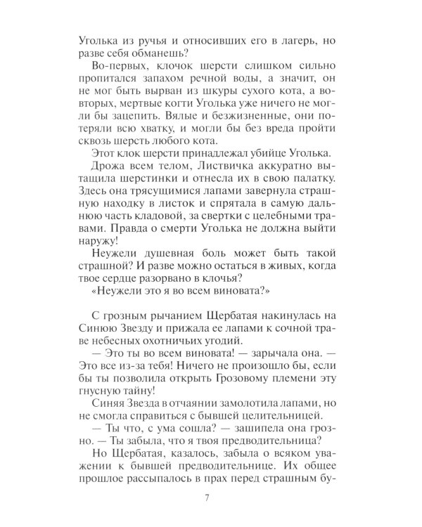 Коты-воители. Восход солнца