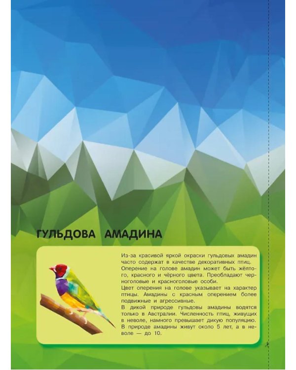 Дополнительное изображение книги «Птицы и подводный мир: Рисуем наклейками (560 наклеек)»