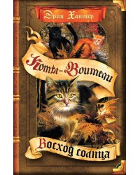 Коты-воители. Восход солнца