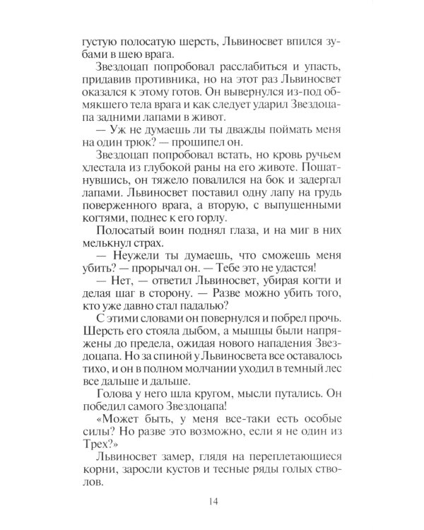 Коты-воители. Восход солнца