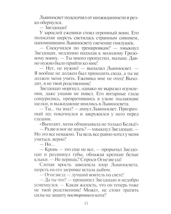 Коты-воители. Восход солнца