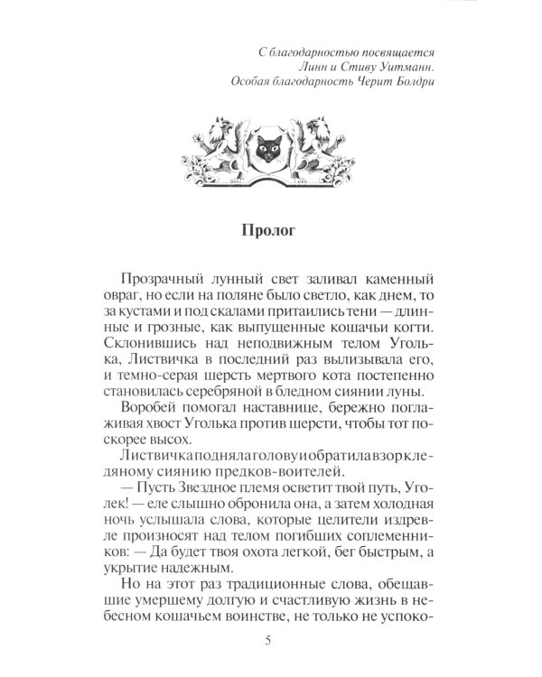 Коты-воители. Восход солнца