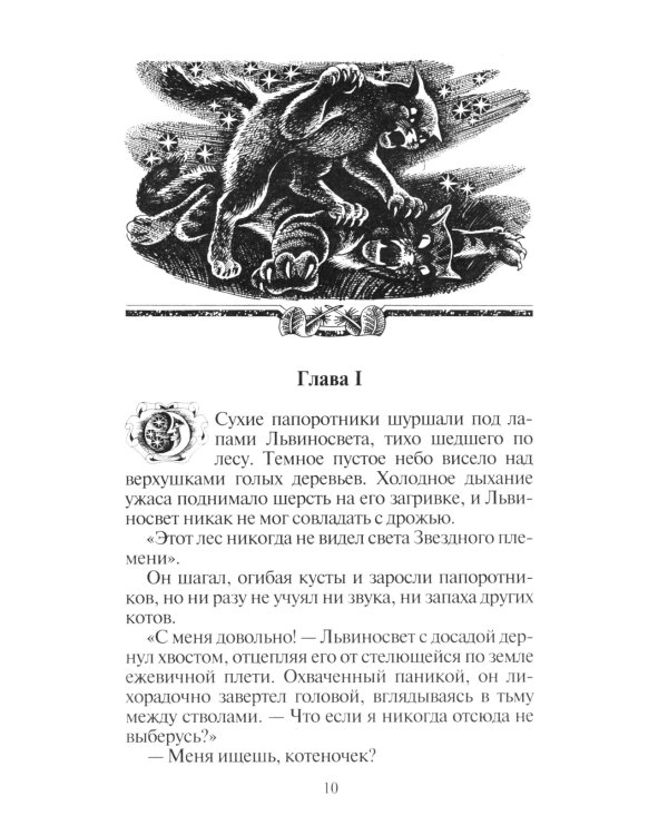 Коты-воители. Восход солнца