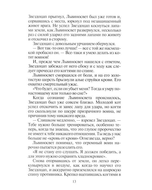 Коты-воители. Восход солнца
