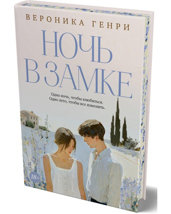 Дополнительное изображение книги «Ночь в замке»