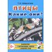 Птицы. Какие они? Книга для воспитателей, гувернеров и родителей