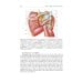 Topographic Anatomy and Operative Surgery: textbook: на англ.яз
