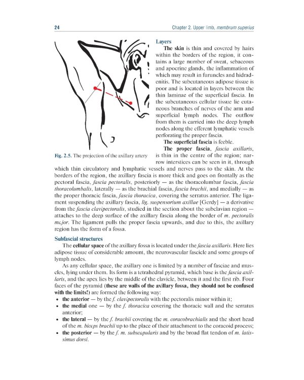 Topographic Anatomy and Operative Surgery: textbook: на англ.яз