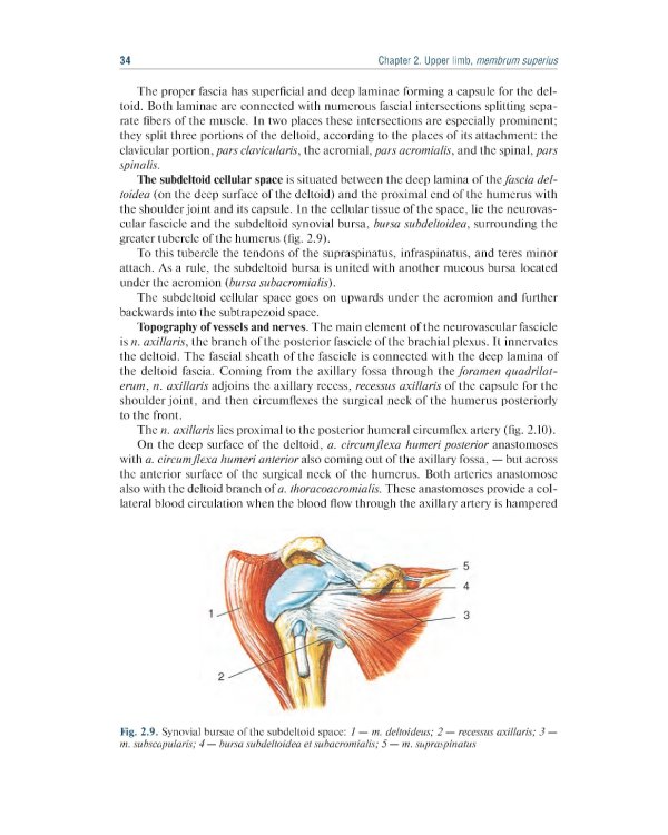 Topographic Anatomy and Operative Surgery: textbook: на англ.яз