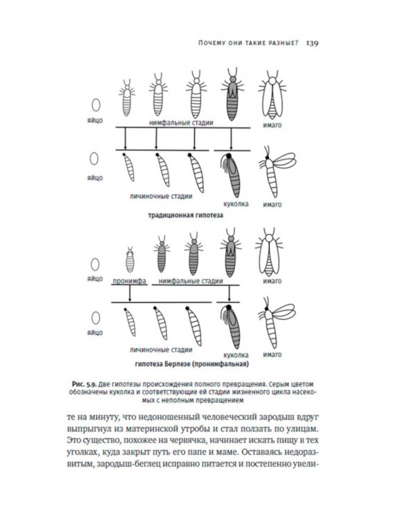 Краткая история насекомых: Шестиногие хозяева планеты