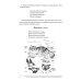 Птицы. Какие они? Книга для воспитателей, гувернеров и родителей