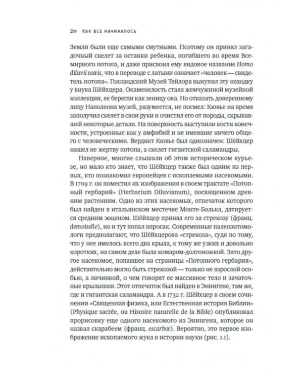 Краткая история насекомых: Шестиногие хозяева планеты