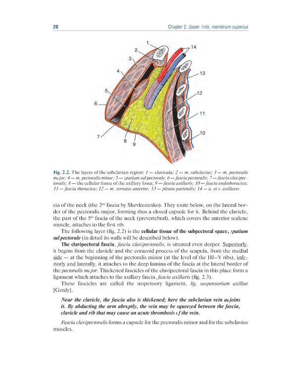 Topographic Anatomy and Operative Surgery: textbook: на англ.яз