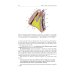 Topographic Anatomy and Operative Surgery: textbook: на англ.яз