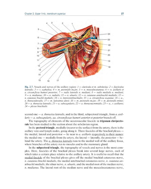 Topographic Anatomy and Operative Surgery: textbook: на англ.яз