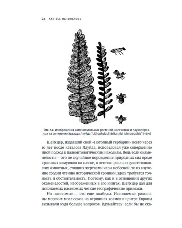 Краткая история насекомых: Шестиногие хозяева планеты