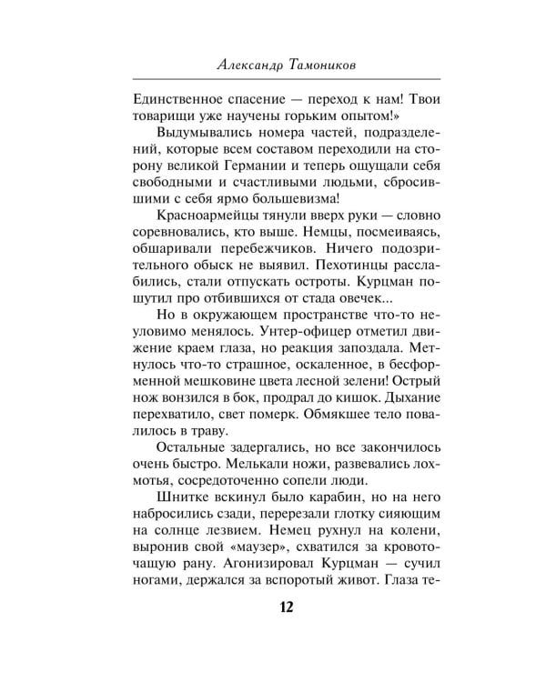 Дополнительное изображение книги «Огненный тыл»