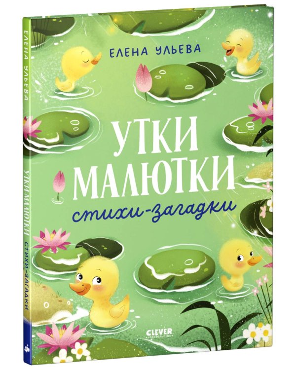 Утки-малютки. Стихи-загадки