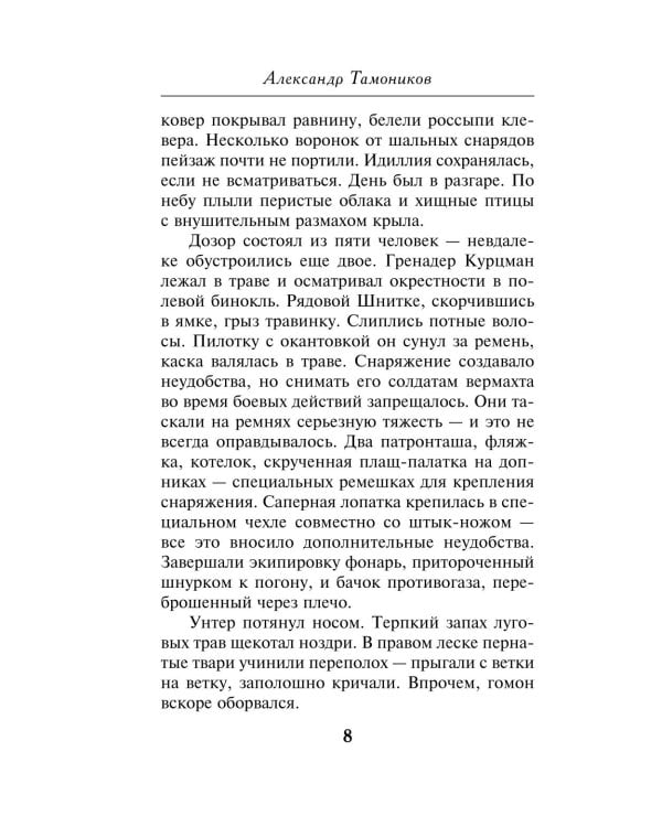 Дополнительное изображение книги «Огненный тыл»