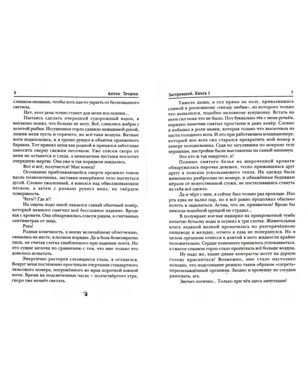 Застрявший. Книга 1. Застрявший в Великой Пустыне