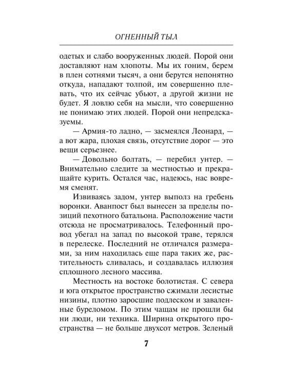 Дополнительное изображение книги «Огненный тыл»