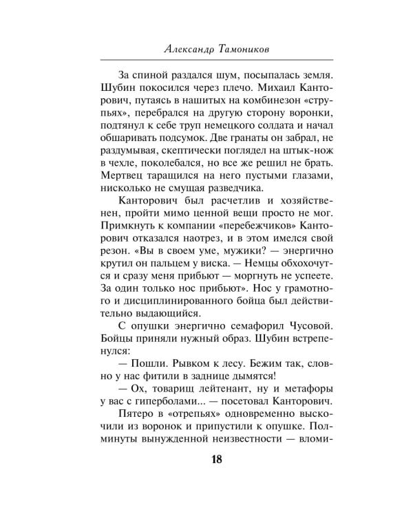 Дополнительное изображение книги «Огненный тыл»