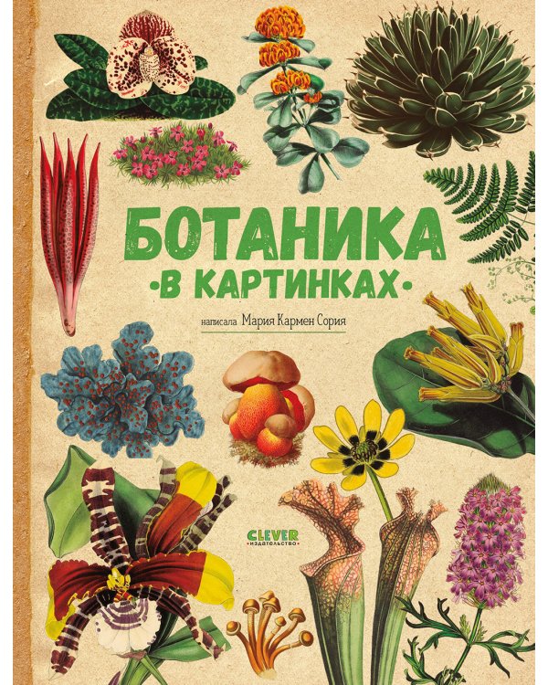 Ботаника в картинках