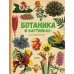 Ботаника в картинках