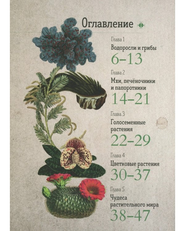 Ботаника в картинках