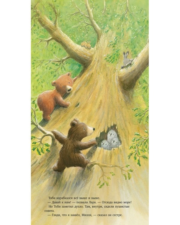 Секрет храброго медвежонка