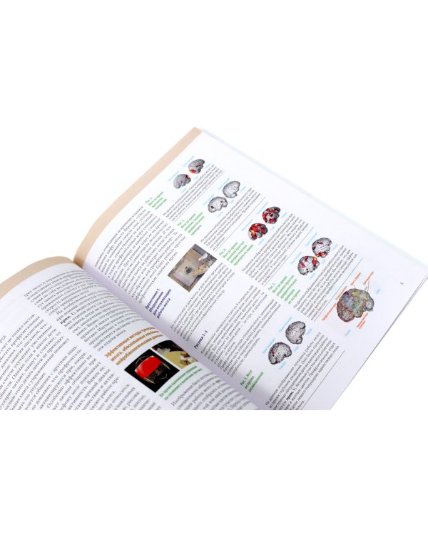 Тренируй свой мозг; Интеллект. Упражнения и задания (комплект из 2-х книг)