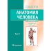 Анатомия человека. Учебник. В 2 т. Т. 2 Анатомия человека. Учебник. В 2 т. Т. 2