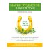 Магия предметов в вашем доме. Традиции Востока и Запада. Практическое руководство