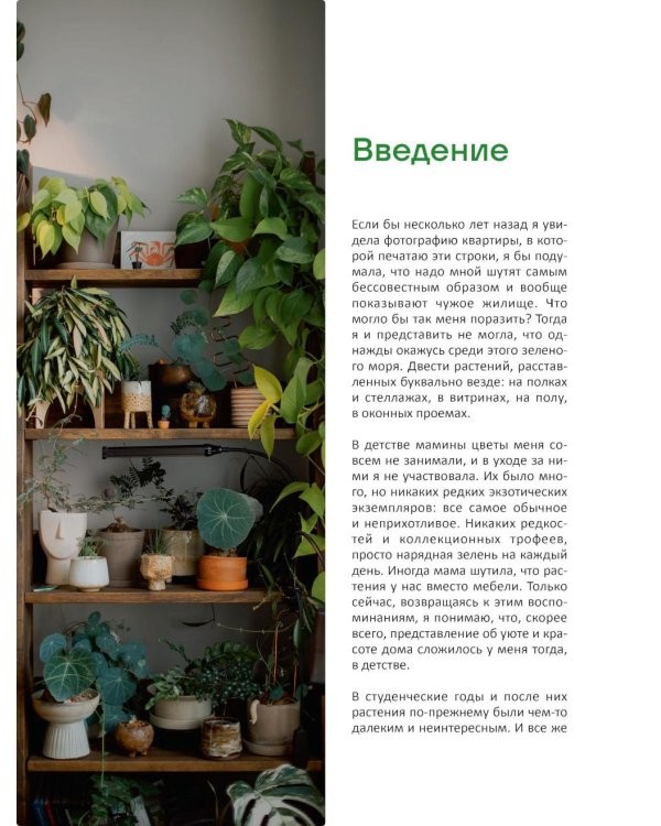 Эстетика живого интерьера. Как создать стильное пространство с помощью комнатных растений