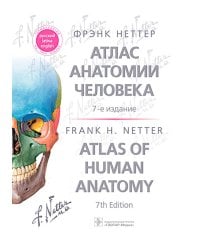 Атлас анатомии человека. 7-е изд