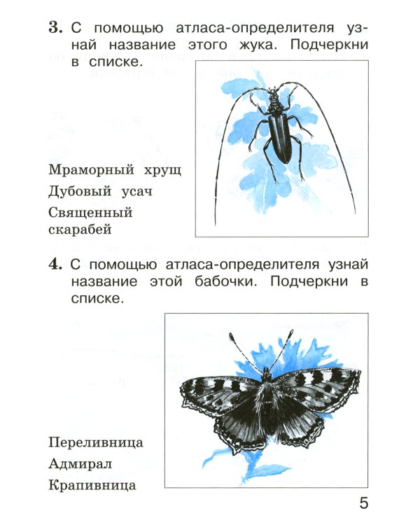 Окружающий мир 1 класс. Комплект тетрадей в 2-х частях для тренировки и самопроверки
